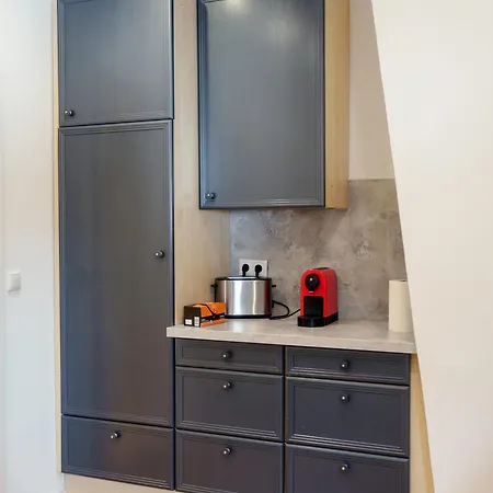 Regensburger - Im Herzen Der Altstadt Apartmán Řezno